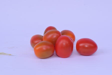 Tomato export